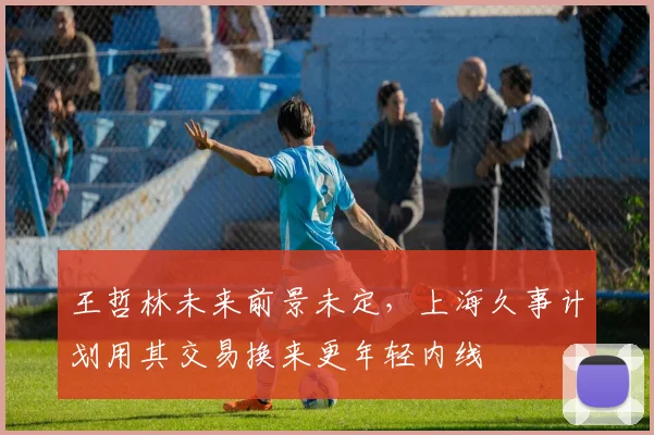 王哲林未来前景未定,上海久事计划用其交易换来更年轻内线